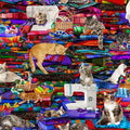 Cats on Quilts Multi