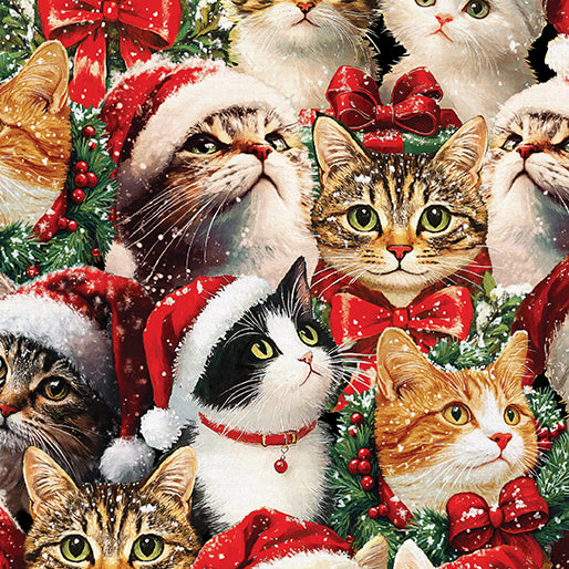 Merry Cats Portrait Multi