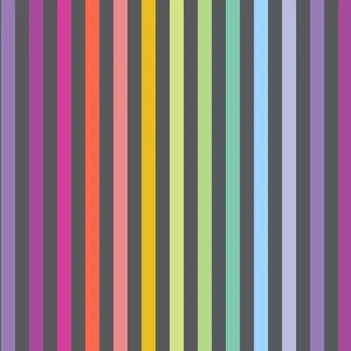 Tula Pink True Colors Disco Stripe Carbon