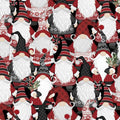 Snowy Gnomies