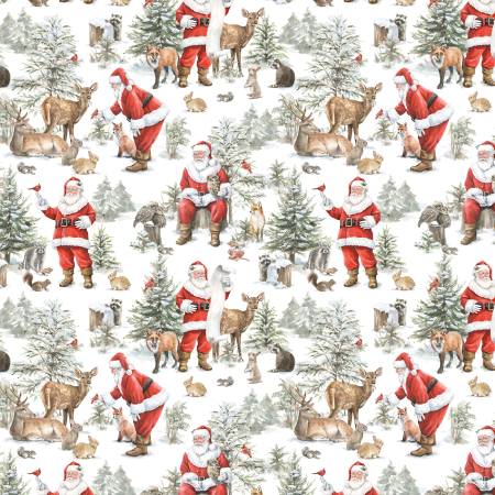 Woodland Whispers Santa