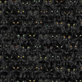 Black Wicked Cat Magic