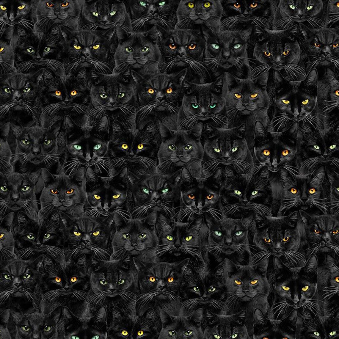 Black Wicked Cat Magic