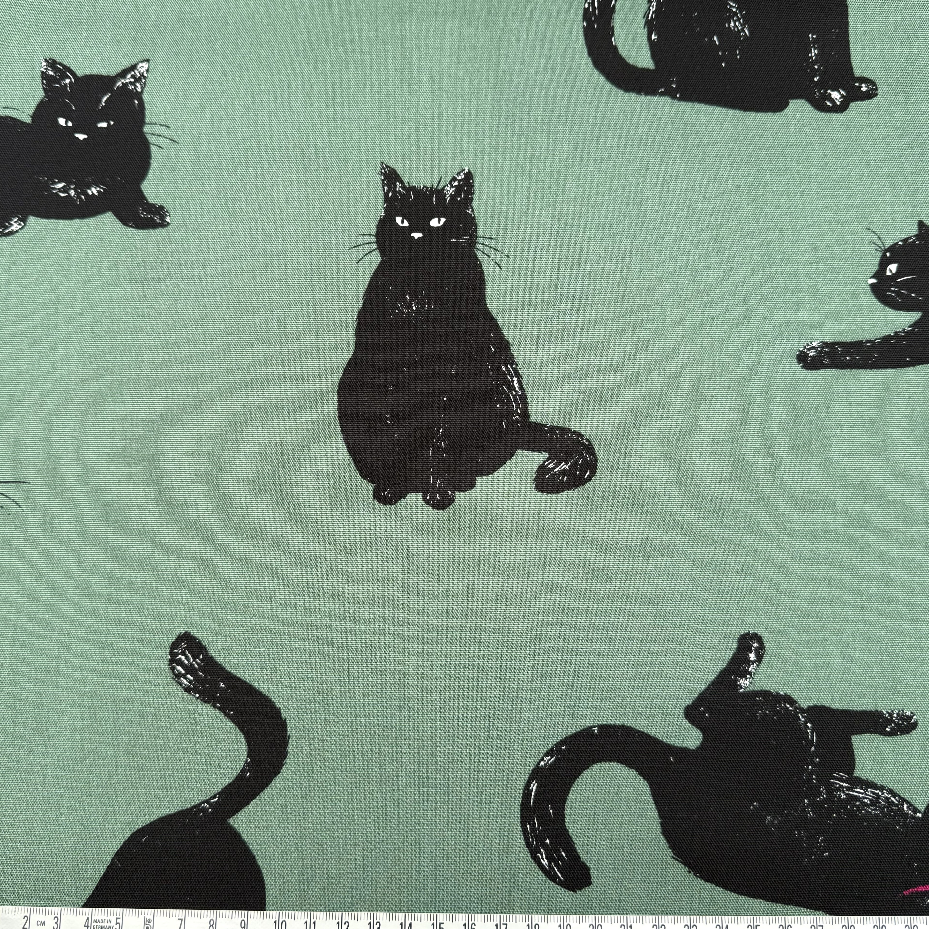 Cat canvas grønn