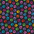 Paw Prints Multi