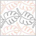 Philodendron
