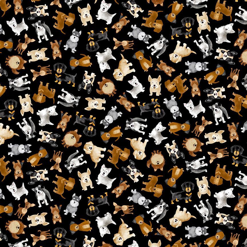Tossed Small dogs